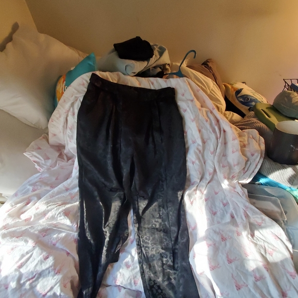 Lepard print silk pants from francescas boutique - Picture 1 of 4